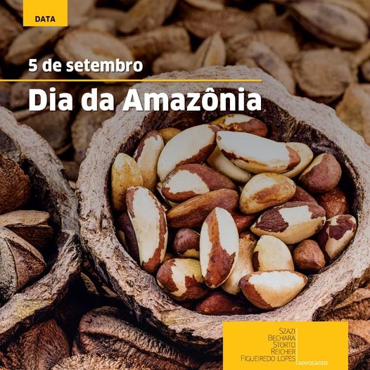 Foto colorida em plano detalhe de castanhas do Brasil, originárias da Amazônia.