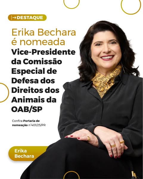 #paratodosverem Fundo branco com círculos amarelos. Em primeiro plano, foto colorida de Erika sentada.