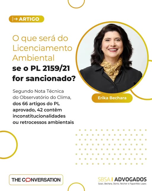 #paratodosverem Fundo branco com círculos amarelos em tamanhos variados. Em primeiro plano e no canto superior direito, moldura circular com foto colorida de Erika.